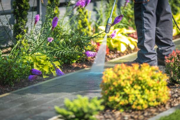 Best Pre-Holiday Cleaning  in Somers Point, NJ